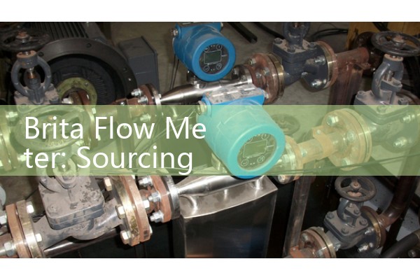Brita Flow Meter: Sourcing Residential Under-Sink Water Filtration Totalizers